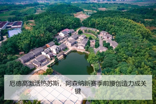 厄德高激活热苏斯，阿森纳新赛季前腰创造力成关键