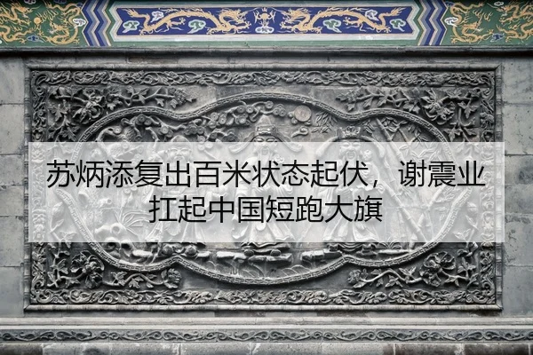 su-bing-tian-fu-chu-bai-mi-zhuang-tai-qi-fu-xie-zhen-ye-kang-qi-zhong-guo-duan-pao-da-qi-2-519.jpg