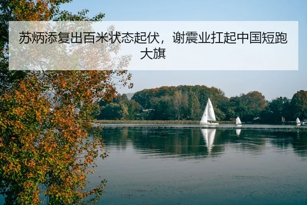su-bing-tian-fu-chu-bai-mi-zhuang-tai-qi-fu-xie-zhen-ye-kang-qi-zhong-guo-duan-pao-da-qi-3-341.jpg