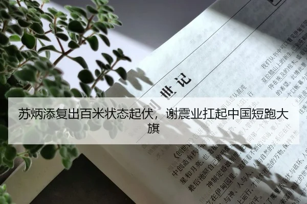 苏炳添复出百米状态起伏，谢震业扛起中国短跑大旗