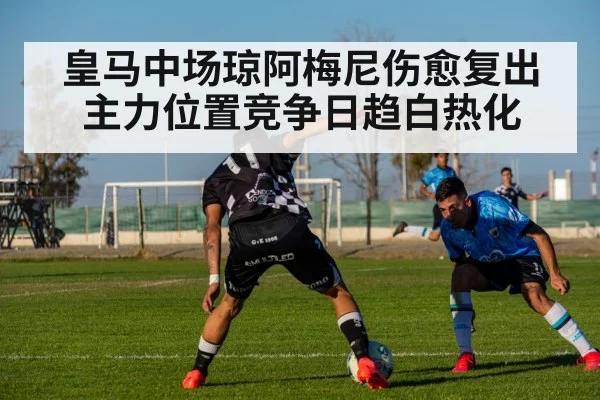 皇马中场琼阿梅尼伤愈复出主力位置竞争日趋白热化