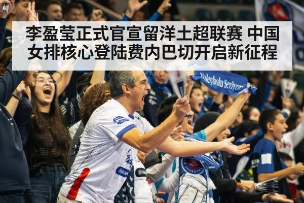 volleyball stadium crowd